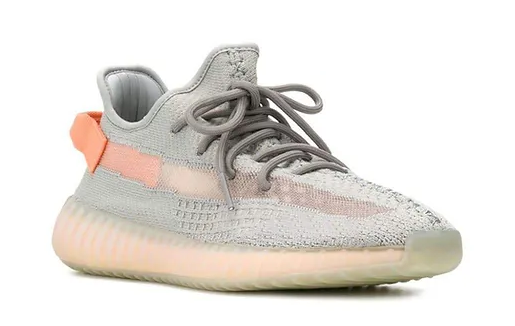 ADIDAS Yeezy Boost 350 V2 TRUE FORM